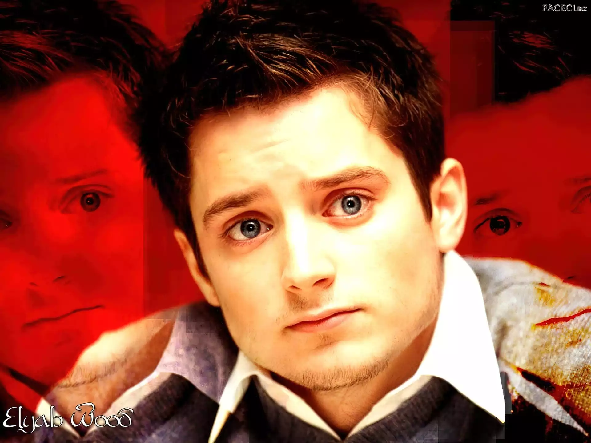 Twarz, Elijah Wood